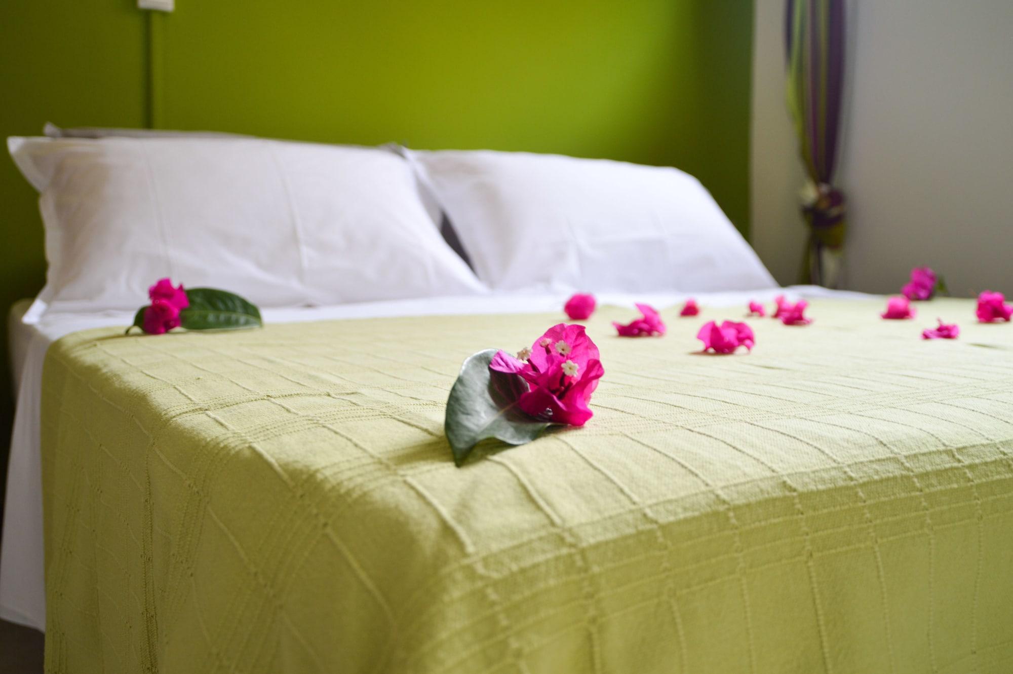 Tante Arlette Hotel Grand'Riviere Exterior foto